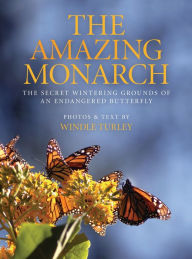 Title: The Amazing Monarch: The Secret Windering Grounds of an Endangered Butterfly, Author: Windle Turley