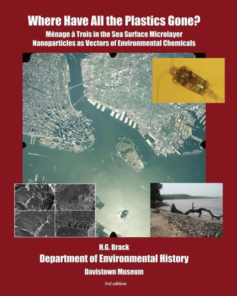 Where Have All the Plastics Gone?: Menage a Trois in the Sea Surface Microlayer: Nanoparticles as Vectors of Environmental Chemicals