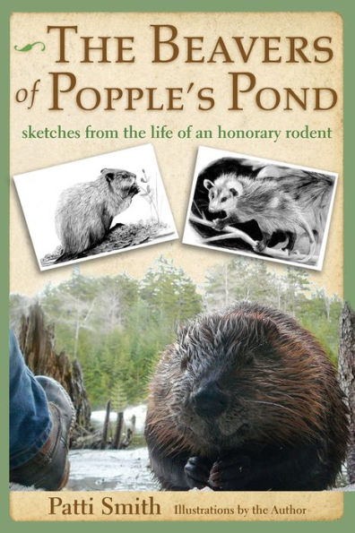 the Beavers of Popple's Pond: Sketches from Life an Honorary Rodent
