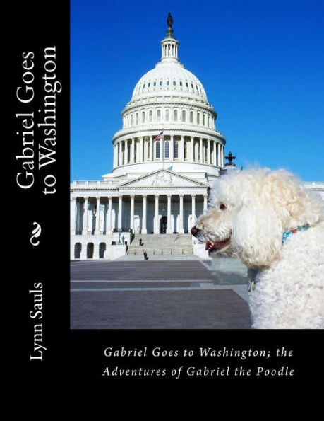 Gabriel Goes to Washington: Through Big Brown Eyes; the Adventures of Gabriel the Poodle