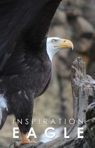 Title: Inspiration Eagle: Notebook Inspiration Pad, Author: Paul T DeVetter