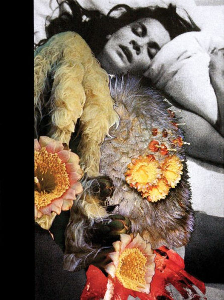 Jonah Freeman & Justin Lowe: Black Acid Co-op/Bright White Underground/Stray Light Grey/Artichoke Underground