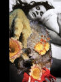 Jonah Freeman & Justin Lowe: Black Acid Co-op/Bright White Underground/Stray Light Grey/Artichoke Underground