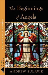 Title: The Beginnings of Angels, Author: Andrew T. Sulavik