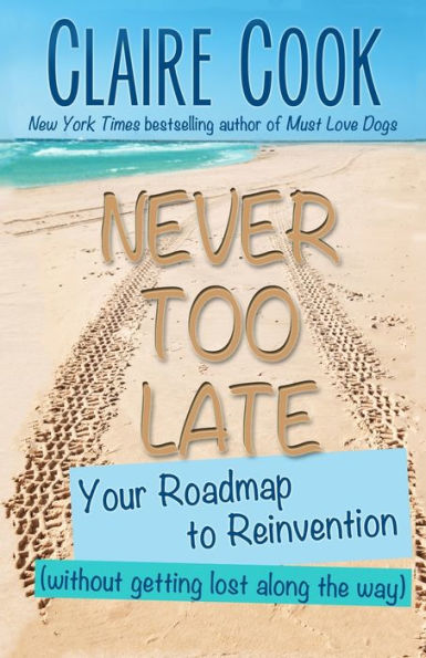 Never Too Late: Your Roadmap to Reinvention (without getting lost along the way)