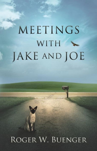 Meetings with Jake and Joe