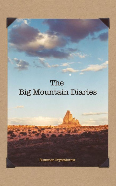 The Big Mountain Diaries
