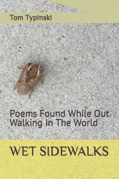 Wet Sidewalks: Poems Found While Out Walking In The World