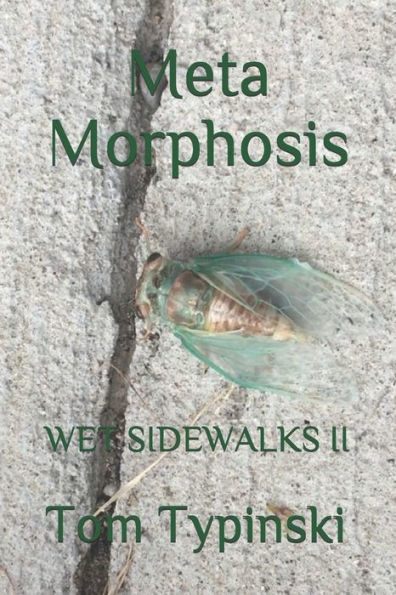 Meta Morphosis: Wet Sidewalks Two