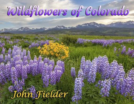 Wildflowers of Colorado