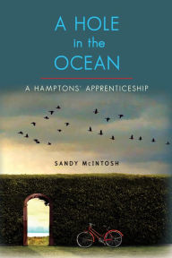 Title: A Hole in the Ocean: A Hampton's Apprenticeship, Author: Sandy McIntosh