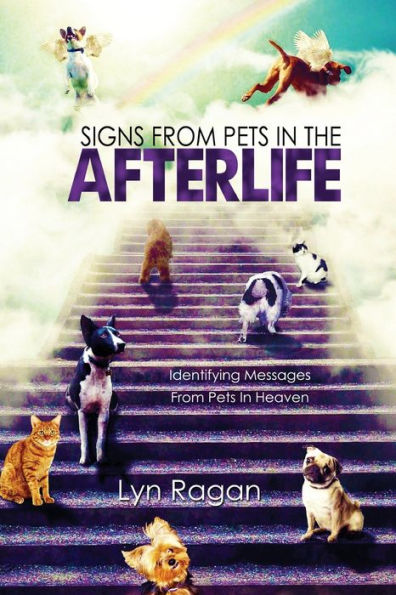 Signs from Pets the Afterlife: Identifying Messages Heaven