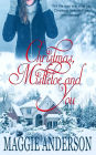 Christmas, Mistletoe and You: A Christmas Romance Novella
