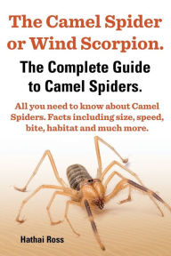 Title: The Camel Spider or Wind Scorpion. the Complete Guide to Camel Spiders. All You Need to Know about Camel Spiders. Facts Including Size, Speed, Bite an, Author: Hathai Ross