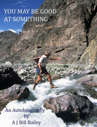 Title: YOU MAY BE GOOD AT SOMETHING: an autobiography, Author: A J Bill Bailey