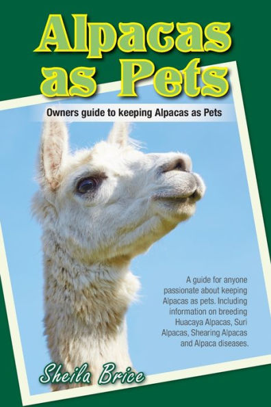 Alpacas as Pets: Owners guide to keeping Pets