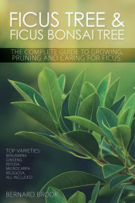 Title: Ficus Tree and Ficus Bonsai Tree. The Complete Guide to Growing, Pruning and Caring for Ficus. Top Varieties: Benjamina, Ginseng, Retusa, Microcarpa, Religiosa all included., Author: Bernard Brook