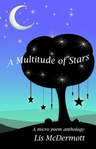 Title: A Multitude of Stars, Author: Lis McDermott