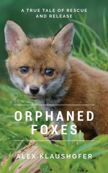 Orphaned Foxes: A true tale of rescue and release