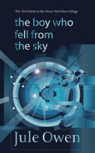 Title: The Boy Who Fell from the Sky, Author: Jule Owen