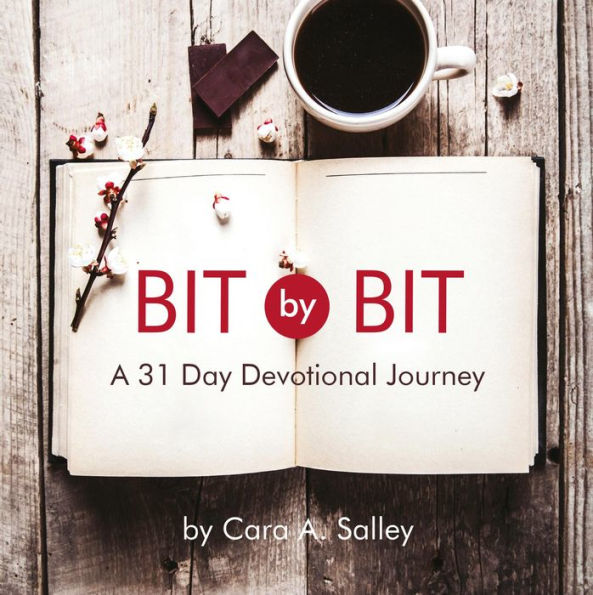 Bit by Bit: A 31 Day Devotional Journey