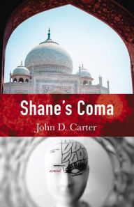 Title: Shane's Coma, Author: John D Carter
