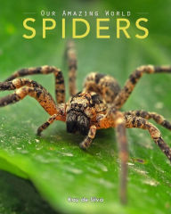 Title: Spiders: Amazing Pictures & Fun Facts on Animals in Nature, Author: Kay De Silva