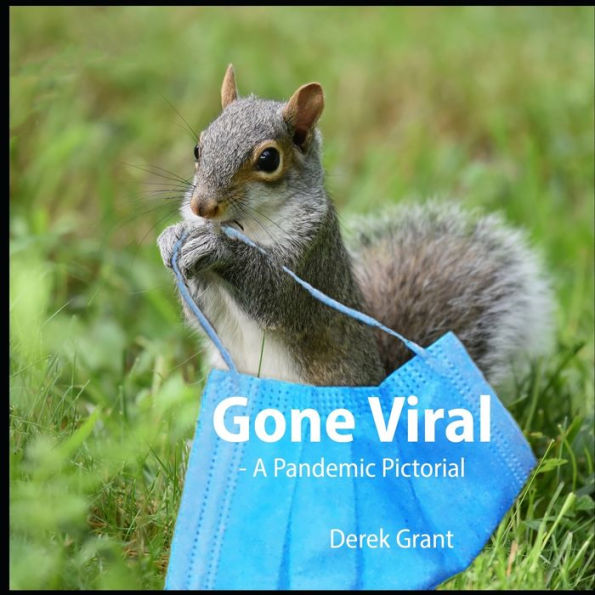 Gone Viral: A Pandemic Pictorial