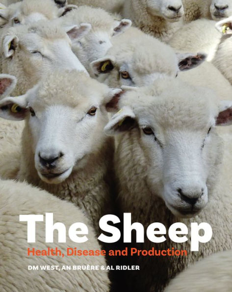 The Sheep: Health, Disease and Production