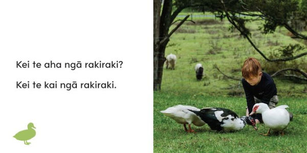 Kei te aha nga kararehe?