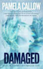 Damaged: Book 1 of the Kate Lange Thriller Series