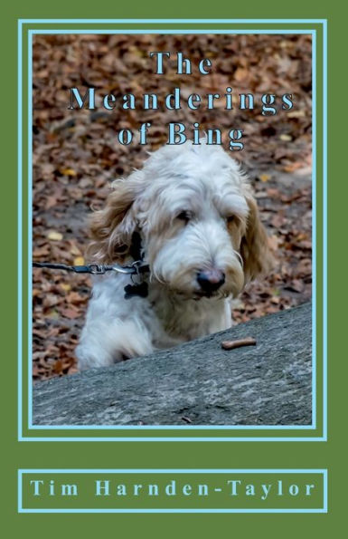 The Meanderings of Bing: A gentle, humorous look at life, snooker, whizzers and other great philosophical mysteries through the meanderings of Bing, a dog of rather large brain, and his minder Tim, as they potter through their days together.