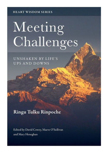 Meeting Challenges: Unshaken by Life's Ups and Downs