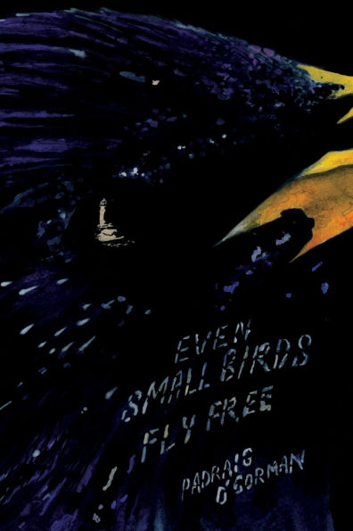 even small birds fly free
