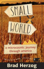 Small World: A Microcosmic Journey through America