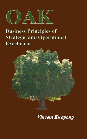 Business Principles of Strategic & Operational Excellence