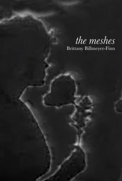 the meshes