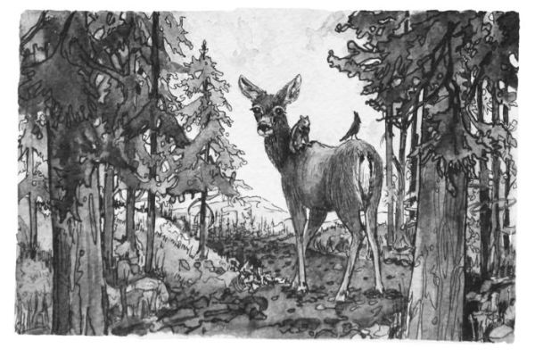 The Passage At Moose Beach: The Wild Side Trilogy Book One