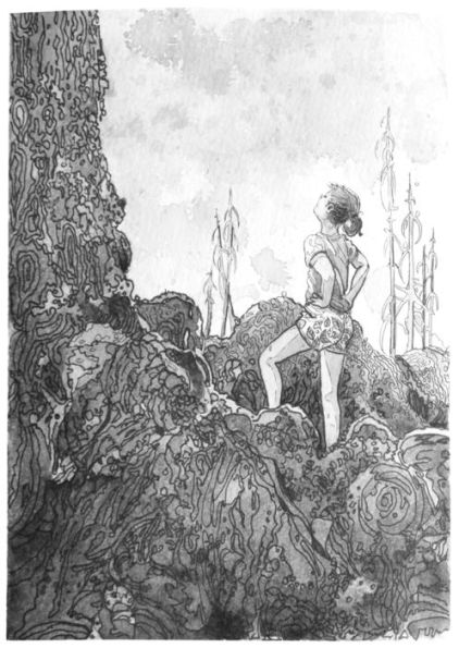 The Passage At Moose Beach: The Wild Side Trilogy Book One