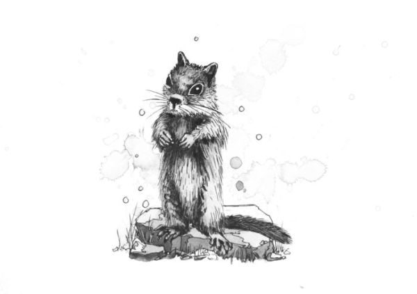 The Passage At Moose Beach: The Wild Side Trilogy Book One