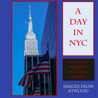 Title: A Day in NYC: Images from Atwood, Author: Atwood Cutting