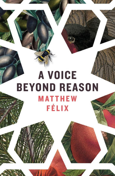 A Voice Beyond Reason: A Coming of Age Novel about Intuition