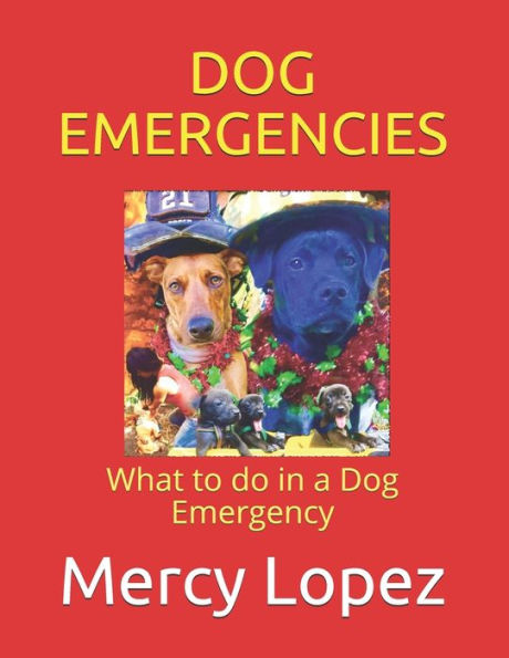 Dog Emergencies: What to do in a Dog Emergency