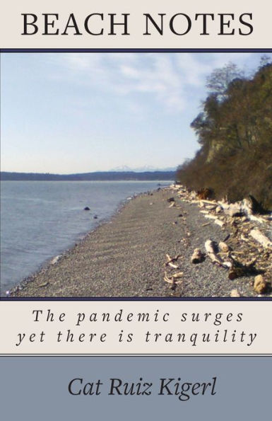 Beach Notes: The pandemic surges yet there is tranquility