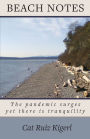 Beach Notes: The pandemic surges yet there is tranquility