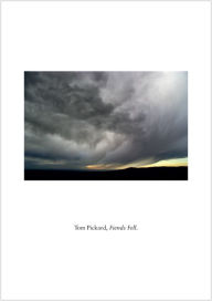 Title: Fiends Fell, Author: Tom Pickard