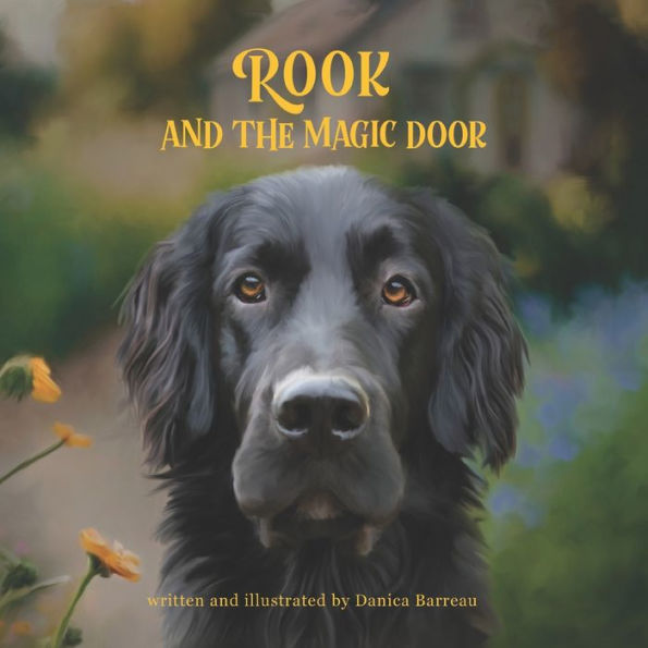 Rook and the Magic Door: Written Illustrated by Danica Barreau