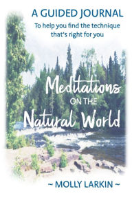 Title: Meditations on the Natural World: A Guided Journal To help you find the technique that's right for you, Author: Molly Larkin