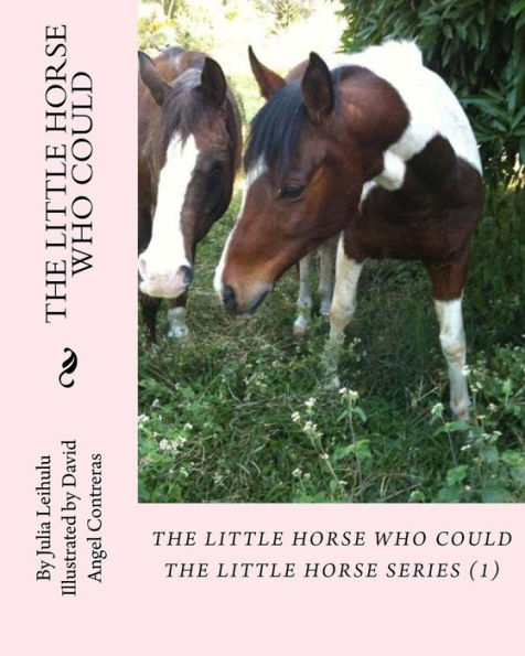 The Little Horse Who Could: The Little Horse Series (1)