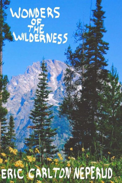 Wonders of the Wilderness